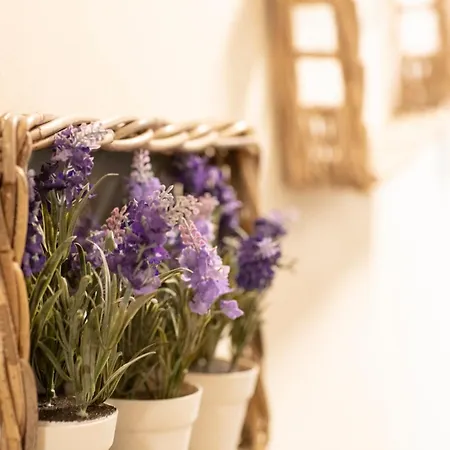 Nonna Rosa Gæstehus 3*